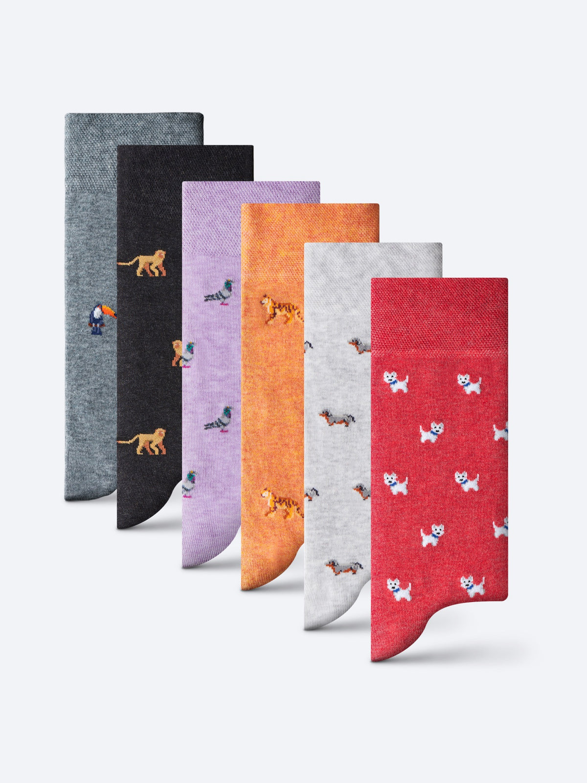 The Animal Magic Collection
